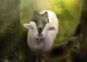 фото новини