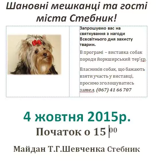 4 жовтня - день захисту тварин: святкування у м.Стебник о 15.00 на Майдані Т.Г.Шевченка
