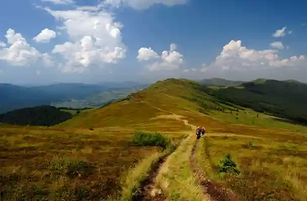 фото новини