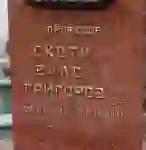 фото новини