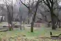 фото новини