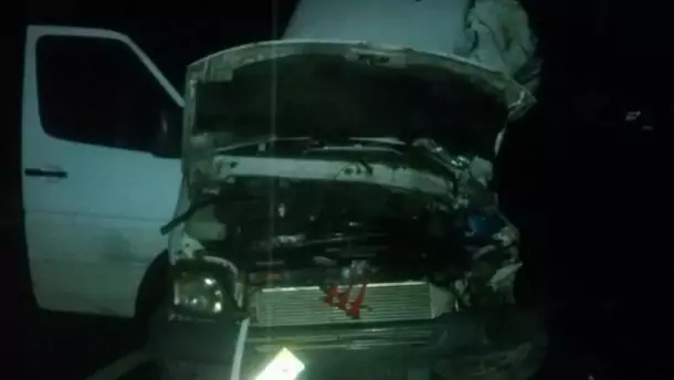 Мікроавтобус із туристами з Трускавця зіткнувся з фурою : є загиблий і багато постраждалих