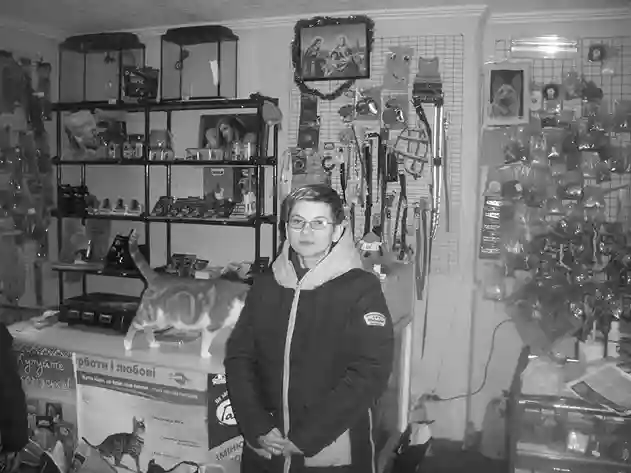 фото новини