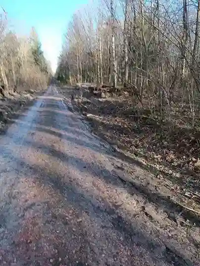 У Дрогобицькій громаді: січень 2023 року... Єврейський меморіал у Броницькому лісі.